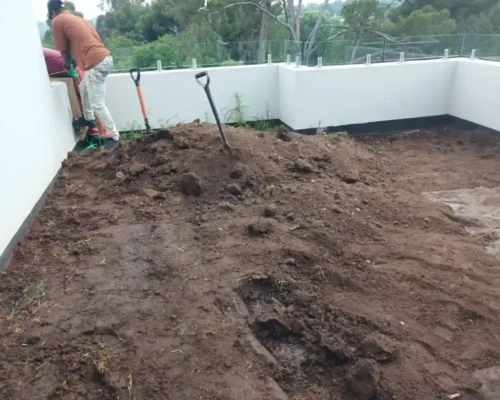 WhatsApp Image 2025-11-17 at 14.41.15 (1)